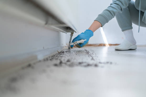 Best Pest Control Near Me in Matthews, NC