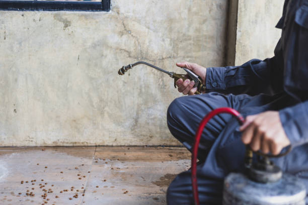 Best Affordable Pest Control Services  in Matthews, NC